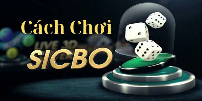 Tham gia Sic Bo - trò chơi đánh bạc được ưa chuộng nhất năm 2025 3 sic bo mot so